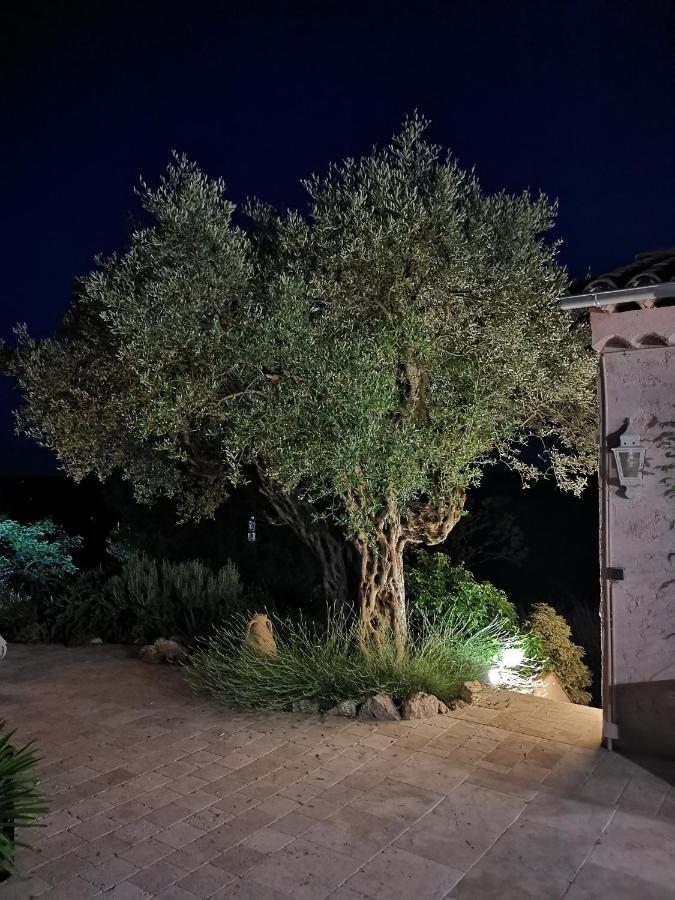Le Nid Des Arts Bed and Breakfast Tourrettes Exteriör bild