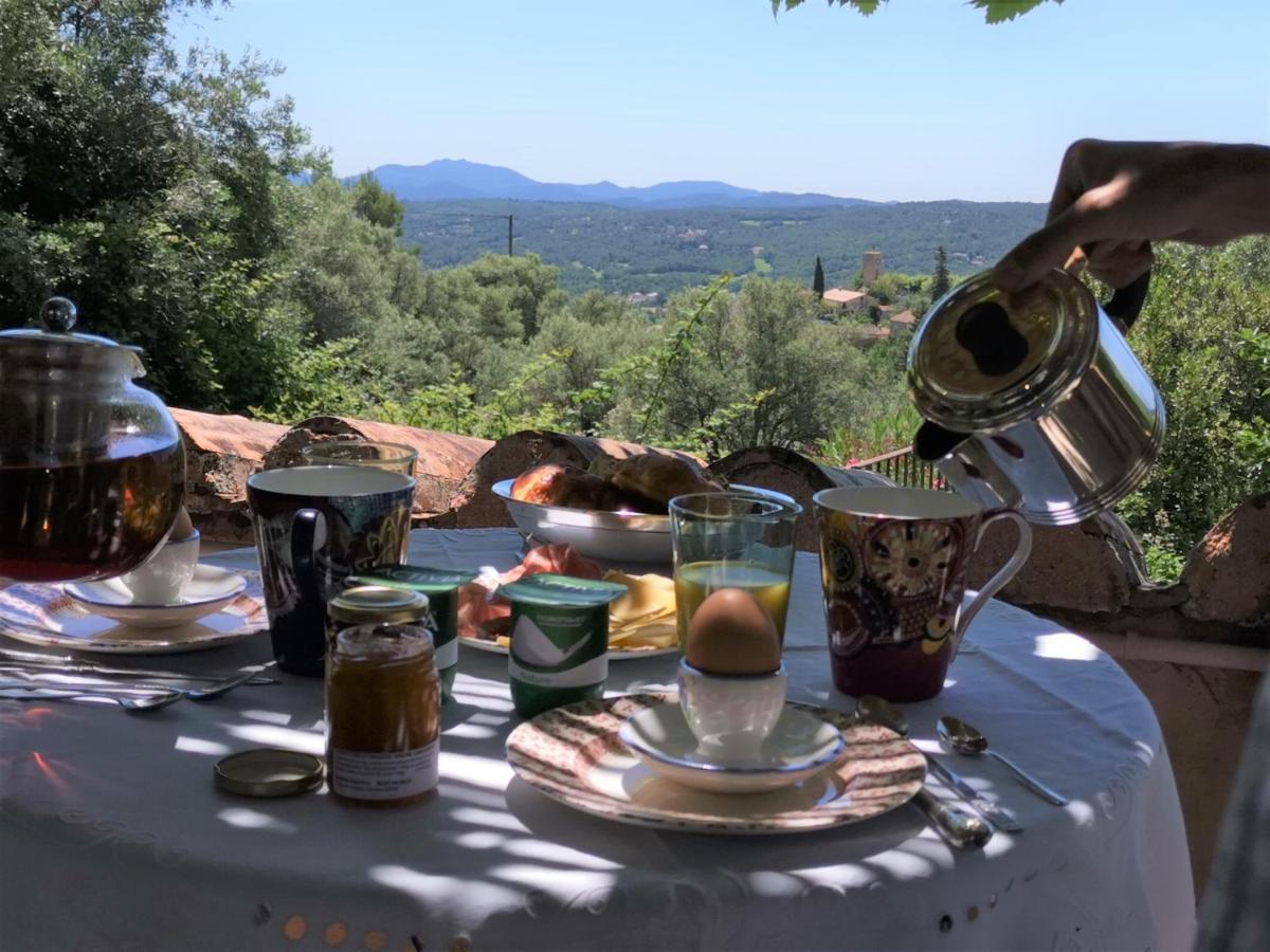 Le Nid Des Arts Bed and Breakfast Tourrettes Exteriör bild