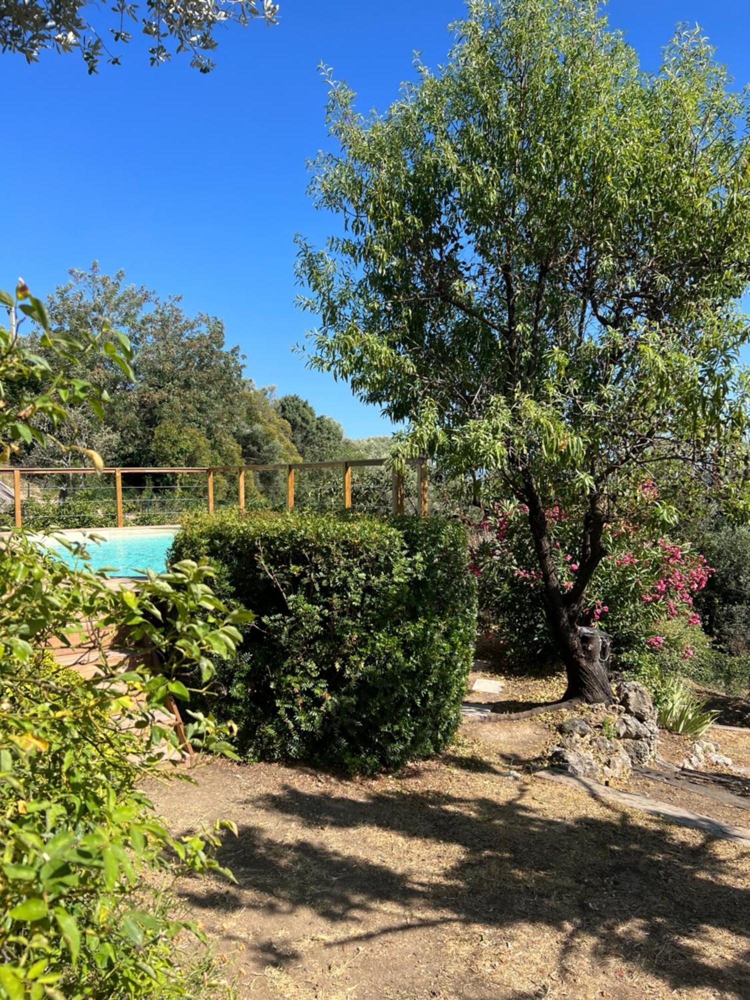 Le Nid Des Arts Bed and Breakfast Tourrettes Exteriör bild